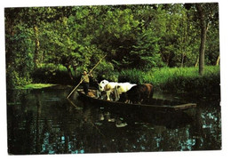 Poitou-Charentes Promenade Dans La Venise Verte Transport D'animaux Dans Conches Du Marais Poitevin N°6 TBE - Poitou-Charentes