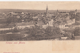 AK - Gruss Aus HORN - Gesamtansicht Der Stadt 1900 - Horn