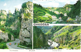 SCENES FROM CHEDDAR GORGE, SOMERSET, ENGLAND. UNUSED POATCARD Aq6 - Cheddar