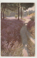 Lüneburger Heide - Lüneburger Heide