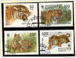 Ussuri Sibirien-Tiger WWF-Set 154 Rußland 343/6 O 1€ Naturschutz 1993 Wildlife Fauna Panthera Tigris Stamps Of RUSSIA - Gebruikt