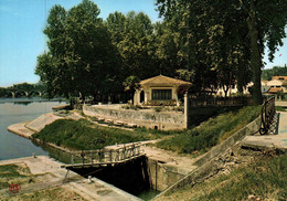 8235 MOISSAC Pont Napoléon Et Uvarium   ( Scan Recto-verso) 82 Tarn Et Garonne - Moissac