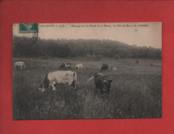 CPA - Jouy En Josas  -  (S.-et-O.) - Pâturage Sur Les Bords De La Bièvre - Le Pré Du Baron De Cabrol  -( Vaches,vache) - Jouy En Josas