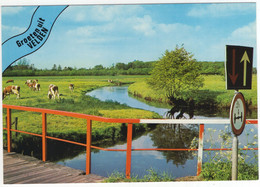 Groeten Uit Velden - (Limburg, Nederland / Holland)  - Nr. L 1084 - Koeien, Brug - Venlo