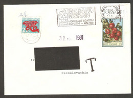 Italy 1981 Merano - Meter Chess Cancel On Envelope, Traveled To Praha - Echecs