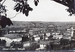 Cartolina - Silvano D'Orba ( Alessandria ) - Dettaglio - 1960 Ca. - Alessandria