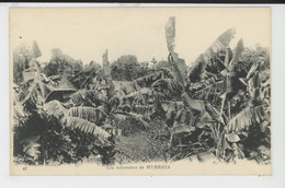 Delcampe - AFRIQUE - NIGER - Les Bananiers De MYRRHIA - Niger
