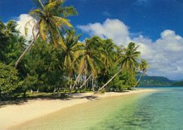 Tahiti - Plage Polynésienne - Polynésie Française
