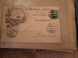 Postkarte Zurich 31.1.1903 Nach Rapperswil - Entiers Postaux