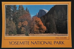 1596/CPM - USA - Californie - Yosemite National Park - Half Dome - Fall Colors - Couleurs D'automne - Yosemite