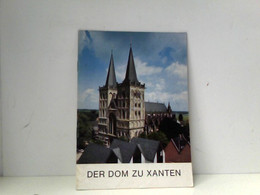 Der Dom Zu Xanten - Architectuur