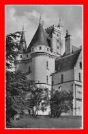 CPSM/gf (86) VOUNEUIL-sur-VIENNE.  Le Château De Chitré...N546 - Vouneuil Sur Vienne