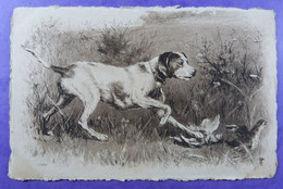 Federwild Patrijs Rebhuhn Jacht Chien- Chasse Jagdhund Jachthond Wild.(Duitse Staander-Englisch Setter?) - Chasse