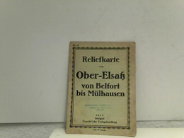 Reliefkarte Vom Ober-Elsaß Von Belfort Bis Mülhausen. - Sonstige & Ohne Zuordnung