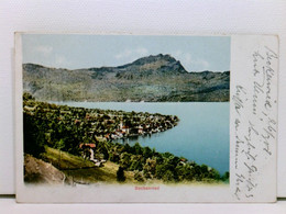 AK Beckenried; Panoramaansicht, Coloriert, Um 1900 - Beckenried