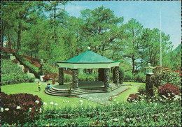 1043530 Amphitheater, Camp John Hay, Baguio City - Philippines - Philippines