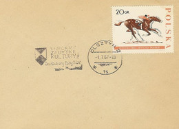Poland Postmark D67.07.01 Olszkop: OLSZTYN Days Of Historical Preservation - Interi Postali