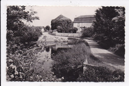 CP 87 BUSSIERE POITEVINE Le Chateau De Busserole - Bussiere Poitevine