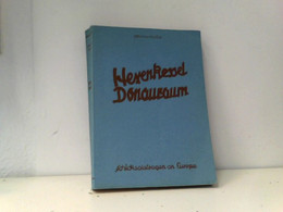 Hexenkessel Donauraum. Schicksalfragen An Europa - Politik & Zeitgeschichte