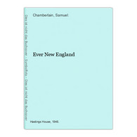 Ever New England - Photography