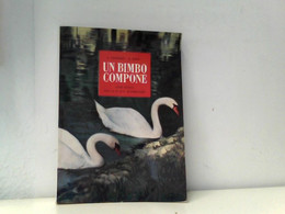 Un Bimbo Compone - School Books