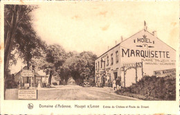 Domaine D'Ardenne - Houyet - Entrée Du Château Et Route De Dinant (animée Pompe à Essence Hôtel Oldtimer) - Houyet