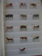 BURUNDI : 1983 :   N° 892 à 904 (*)/0     Cat.700€    RARE $$$$$$$ WWF - Used Stamps