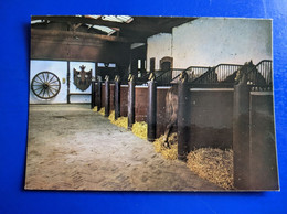 CERISIERS  HARAS CENTRE EQUESTRE DANIEL DOYEN CHEVAUX - Cerisiers