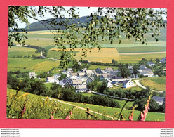 CP (Réf : Z 975) Oberhenneborn - Hochsauerland (ALLEMAGNE) - Schmallenberg