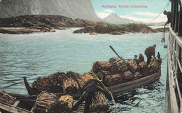 Norge Nordland Torrfisk Torfisk Indlastning  Fisk Fiskefisker Fisker Album 1912 - Norvège