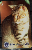 SINGAPURE 2002 PHONECARD CATS USED VF!! - Gatos