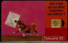 FRANCE 1998 PHONECARD DOGS USED VF!! - Dogs