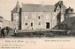 Vallée De La Meuse  Ancien Chateau Fort De Ronchinne Animée N'a Pas Circulé - Yvoir