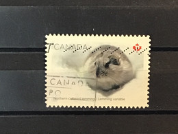 Canada - Lemming (P) 2021 - Oblitérés