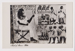EGYPT Thebes Tomb Of MENNA Painting Scene Vintage RPPc Photo Postcard CPA (41780) - Museos