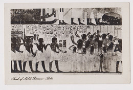 EGYPT Thebes Tomb Painting Scene Vintage RPPc Photo Postcard CPA (41787) - Musei