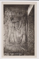 EGYPT Thebes Royal Tomb Painting Scene Vintage RPPc Photo Postcard CPA (41829) - Musées