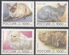 RUSSIA - 1996 - Lotto Di Quattro Valori Nuovi MNH: Yvert 6171/6174. - Neufs