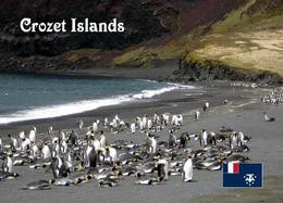 Crozet Island View Penguins TAAF UNESCO New Postcard - TAAF : Territori Francesi Meridionali