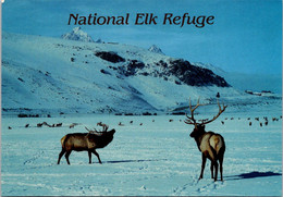 Wyoming Jackson National Elk Refuge - Other