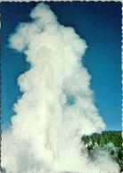 Yellowstone National Park Old Faithful Geyser - USA Nationale Parken