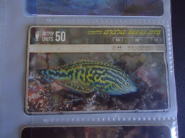 ISRAEL   USED  CARDS  FISH FISHES  MARINE LIFE - Poissons