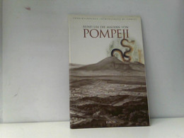 Lungo Le Mura Di Pompei. L'antica Città Nel Suo Ambiente Naturale. Ediz. Tedesca (Soprint. Archeologica Di Pom - Archeologie