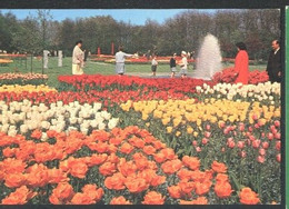 Nederland Holland Pays Bas Lisse Keukenhof Vol Bloemen - Lisse