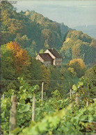 1052815 75 Jahre Thurgauer Heimatschutz Blick Auf Hinterburg In Salenstein - Stein