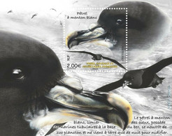 FRANCE New ** 2022 TAAF Antarctic Bird With Birds PETREL MENTON BLANC Procellaria Ms1v  MNH (**) - Ungebraucht