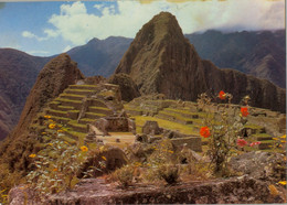 PERÚ , T.P. CIRCULADA , AREQUIPA , VISTA PARCIAL DE LA CIUDADELA Y WAYNAPICCHU - Peru