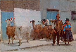 PERÚ , T.P. CIRCULADA , PAREJA CON VESTIDOS TÍPICOS DE LA SERRANIA PERUANA Y ANIMALES ORIUNDOS - Perú