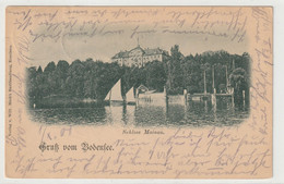 Schloss Mainau 1901 - Konstanz