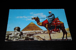 37725-                     EGYPT, THE GREAT SPHINX OF GIZA AND KHEFREN PYRAMID - Gizeh